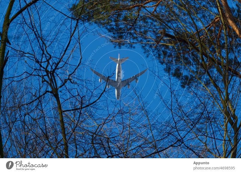 Flugzeug am blauen Himmel zwischen Bäumen Reise Wald blauer Himmel Urlaub Erholung Reiselust Flugverkehr Flugreise Umwelt Luft Baumkronen fliegen