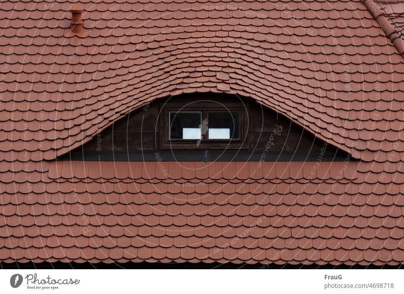 Dachauge Gebäude Schindeln Dachgaube Gaube Fenster Durchblick Licht Holz Schwung Auge schwungvoll