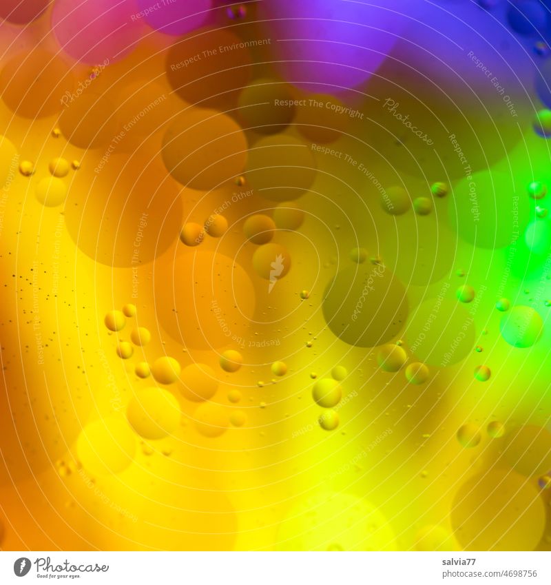 rund und bunt im Quadrat Dekoration & Verzierung farbenfroh Farbe Hintergrundbild abstrakt Strukturen & Formen Design Muster Kunst mehrfarbig Kreise Farbfoto