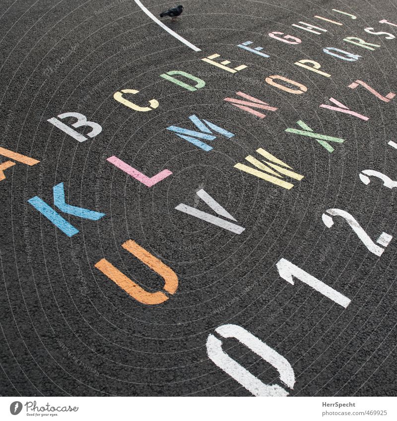Straßen-ABC Schriftzeichen Ziffern & Zahlen mehrfarbig alphabetisch Lateinisches Alphabet Taube Asphalt Ordnung Farbfoto Außenaufnahme Menschenleer