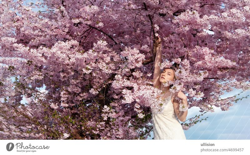 sinnlich, verführerisch, Porträt einer sexy, jungen blonden Frau in rosa Blumenbaumblüten eines blühenden Baumes im April, Frühlingserwachen, Sakura Panorama