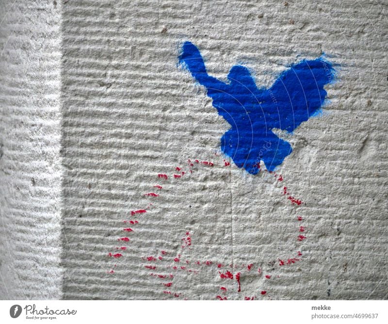 Friedenstaube auf Stein Friedenssymbole Taube Symbole & Metaphern Freiheit Hoffnung fliegen Vogel Krieg Ukraine Russland Mauer blau Hilfe Hilfsbereitschaft