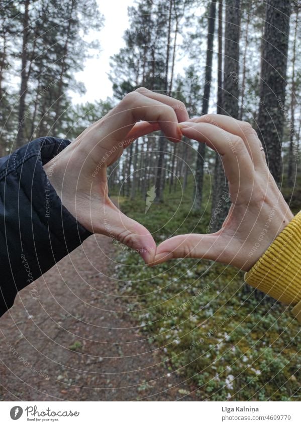 Mann und Frau machen Herzzeichen mit Händen im Freien Liebe herzförmig romantisch Liebesbekundung Romantik Valentinstag Verliebtheit Liebesgruß Gefühle