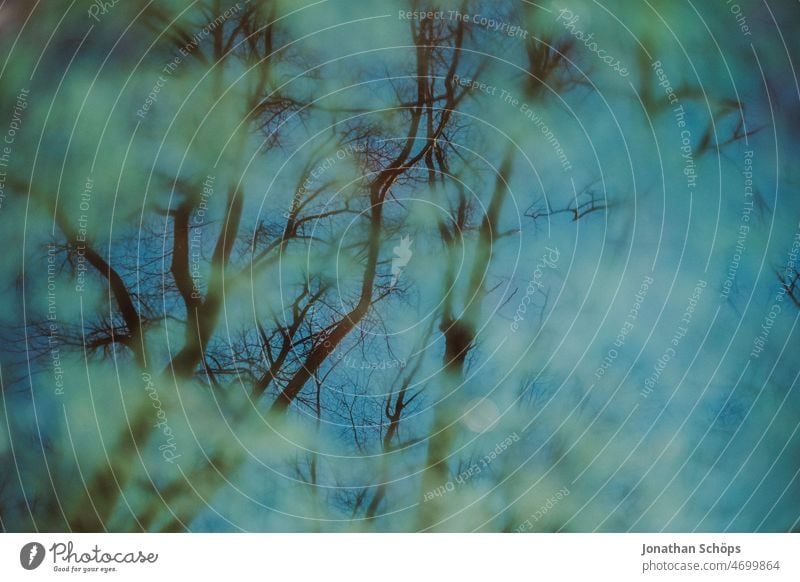 Baum Reflexion in überschwemmter Wiese Reflexion & Spiegelung Pfütze Wald Nass Regen Regenwasser Überschwemmung kahl Winter blau grün nass Wasser Außenaufnahme