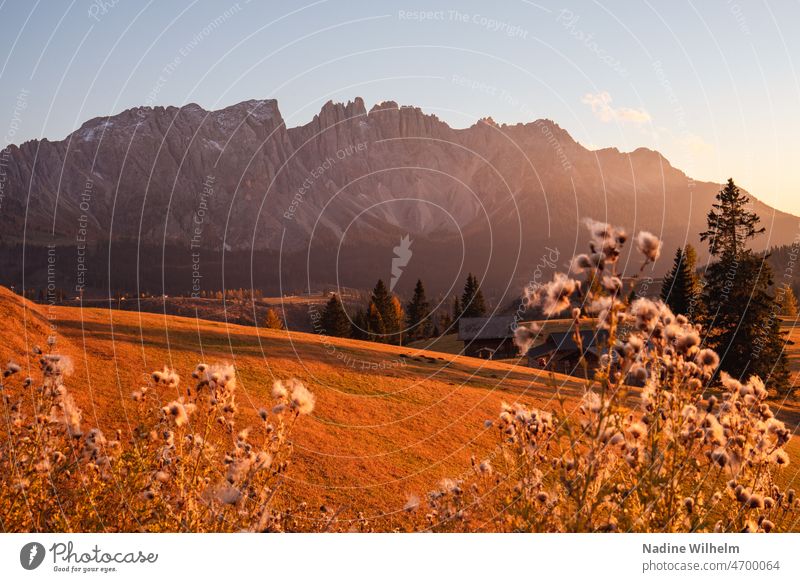 Blick auf Latemar Dolomiten Rosengarten Südtirol Trentino Berge u. Gebirge Italien Landschaft Alpen Natur Tourismus wandern Europa Sommer Gipfel Himmel schön