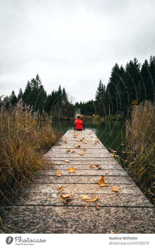 Frau mit roter Jacke sitzt auf Steg Wasser See ruhig Außenaufnahme Einsamkeit Holz Natur Erholung Regen Seeufer Landschaft Wolken wolkig Wald Blätter Herbst