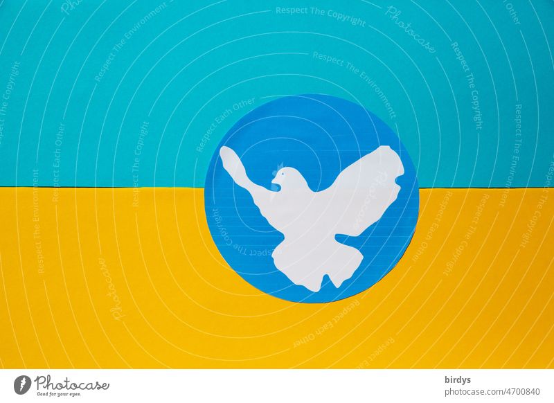 Flagge der Ukraine in den Landesfarben mit einer Friedensstaube Friedenstaube Friedensbotschaft Krieg Angriffskrieg Friedenssehnsucht Friedenssymbol