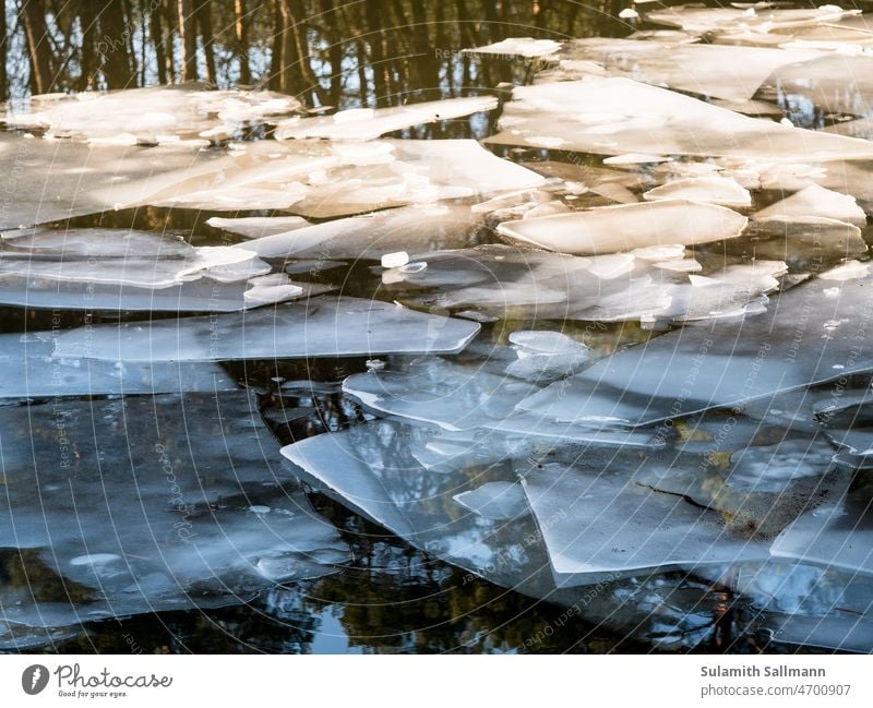 Eisplatten auf einem Gewässer Winter Winterstimmung Eisschollen Schollen eisig Frost frostig eiskalt winterlich Fluss See gefroren Außenaufnahme Wintertag Kälte