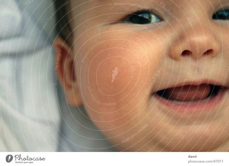 Helena Baby Kind klein Fröhlichkeit Mensch Detailaufnahme Nase lachen Nahaufnahme Gesicht Auge