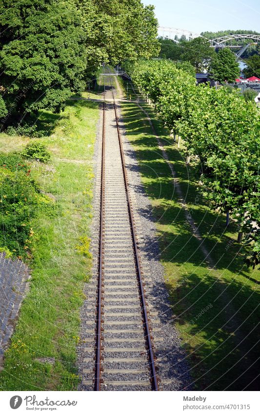 Eisenbahnschienen am grünen Mainufer im Sommer bei Sonnenschein im Ostend von Frankfurt am Main in Hessen Schienen Gleise Eisenbahngleise Hafenbahn Museumsbahn