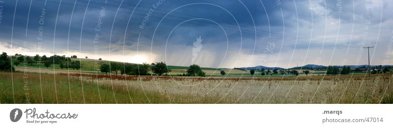 Etwas zieht auf Farbfoto Außenaufnahme Textfreiraum oben Tag Panorama (Aussicht) Sommer Natur Landschaft Wolken Unwetter Sturm Regen Baum Wiese Feld bedrohlich
