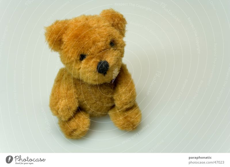 Mini-Teddy Teddybär Stofftiere Tier klein Wolle Fell braun schwarz Knopfauge selbstgemacht Spielzeug Stoffnase gebastelt beweglich kuschlig schlafen Einsamkeit