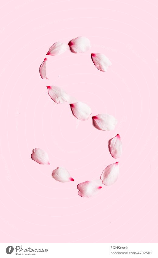 S Wort mit Blütenblättern auf rosa Hintergrund Blütenblatt Schönschrift Brief Beschriftung Valentinsgruß Roséwein Liebe romantisch Romantik Kunst