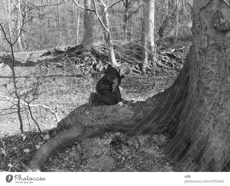Kindheit | in der Natur | auf einer Wurzel. Junge draußen Baum klettern sitzen lächeln Blickkontakt Ausflug Spaziergang Wanderung Pause Bäume schwarz-weiß Wald