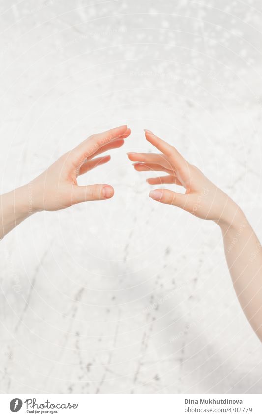 zwei weibliche Hände berühren sich fast auf neutralem Hintergrund, Verbindung zweier Seelen Frauen Hand jung Konzept Zusammensein Beteiligung Erwachsener Person