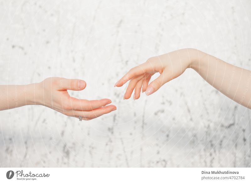 zwei weibliche Hände berühren sich fast auf neutralem Hintergrund, Verbindung zweier Seelen Frauen Hand jung Konzept Zusammensein Beteiligung Erwachsener Person
