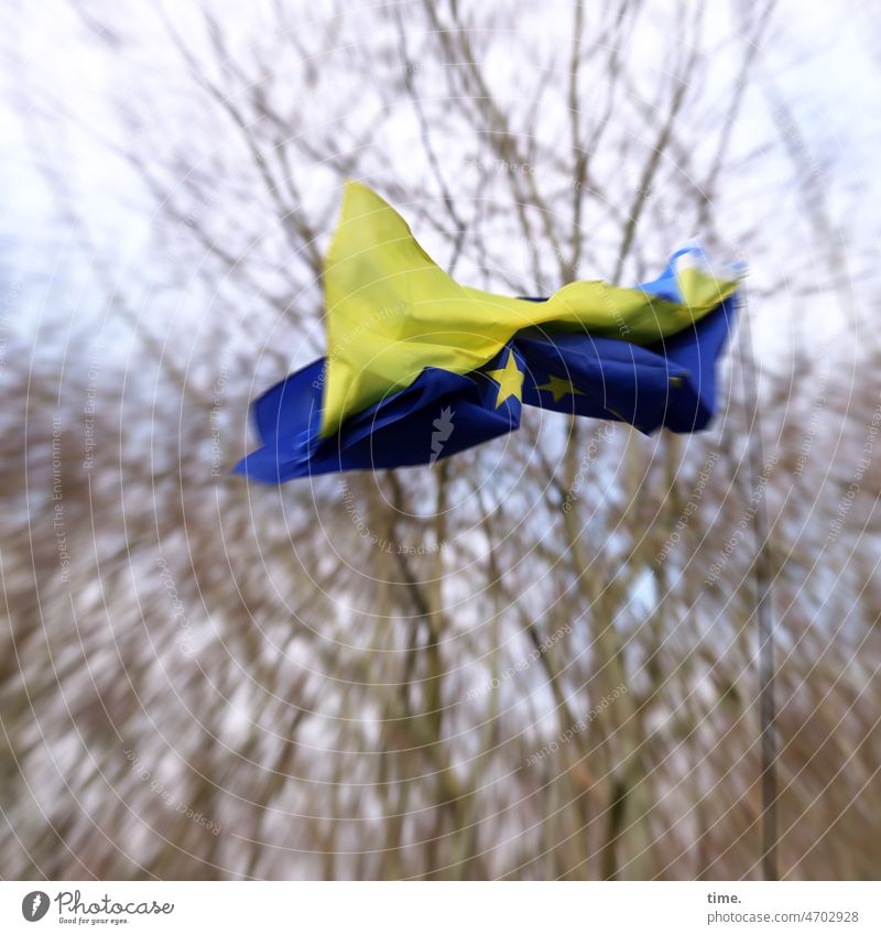 hochfliegende Träume fahne ukraine windig bewegung bäume himmel europa zusammen flattern wehen stern blau gelb äste stürmisch