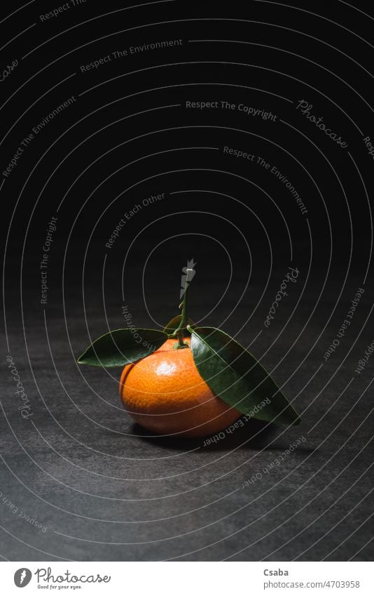 Frische Mandarine mit Blättern auf dunklem Hintergrund Clementine orange Zitrusfrüchte Frucht Textfreiraum clementina Zitrusfrucht reticulata Zitrusmandarine