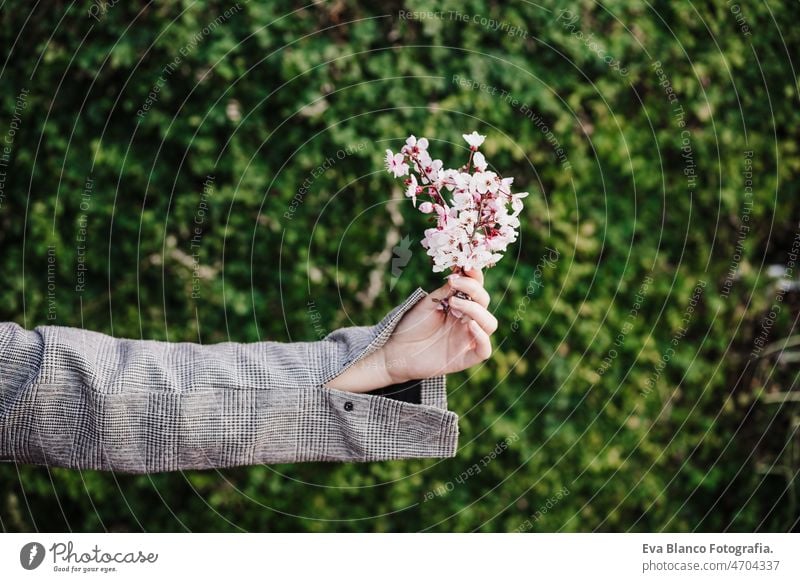 unerkennbare Frau hält Mandelbaum Blumen über grünen Hintergrund, Natur und Frühling unkenntlich Hand Chinesisch Porträt Großstadt asiatisch Orientalisch jung