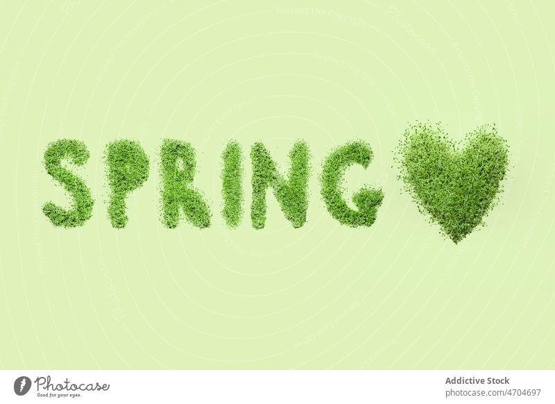 Frühlingsinschrift aus Gras Aufschrift Grün Pflanze Natur Leben natürlich Design Wort kreativ Konzept grün frisch Brief Farbe hell lebhaft Flora Licht