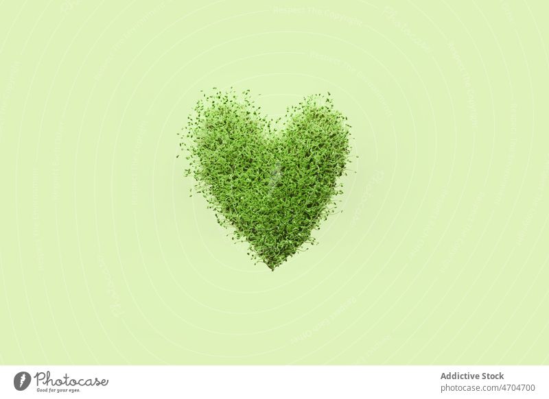 Herz aus grünem Gras an der Wand Grün Pflanze Natur Frühling Leben natürlich Liebe Design kreativ Konzept Form frisch Farbe Symbol hell lebhaft Flora Licht