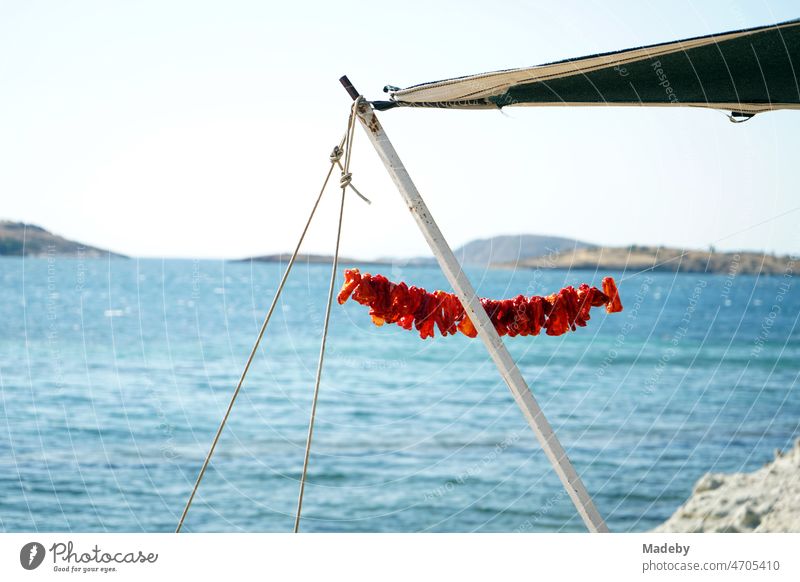 dekorative rote Girlande an einem Schatten spendenden Vorzelt im Sommer bei Sonnenschein am Strand in der Bucht von Foca am Ägäischen Meer in der Provinz Izmir in der Türkei