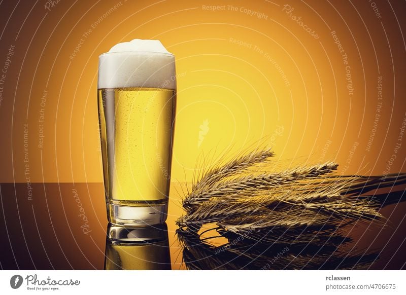 Bier im Glas mit Kornähren Bierglas Alkohol Biergarten betrunken erfrischend schäumen Restaurant gelb gold Party trinken Sommer Nachtleben Bargeld Brauerei