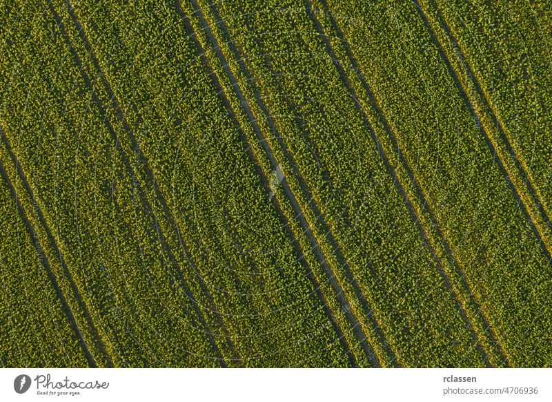 Ackerland von oben - Luftaufnahme eines saftig grünen Feldes - Ansicht von einer Drohne Antenne Bauernhof Gras Ernte Ackerbau Traktor Samen Land Linien Cloud