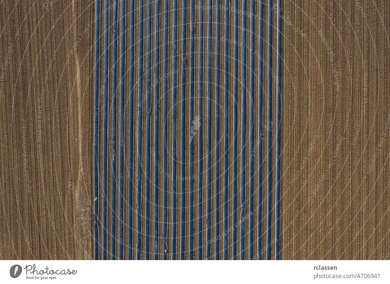 Luftaufnahme, Spargelfelder, Spargel mit schwarzer Plane abgedeckt Feld landwirtschaftlich Ackerbau braun gepflügt Landschaft Deckung Ernte Bodenbearbeitung