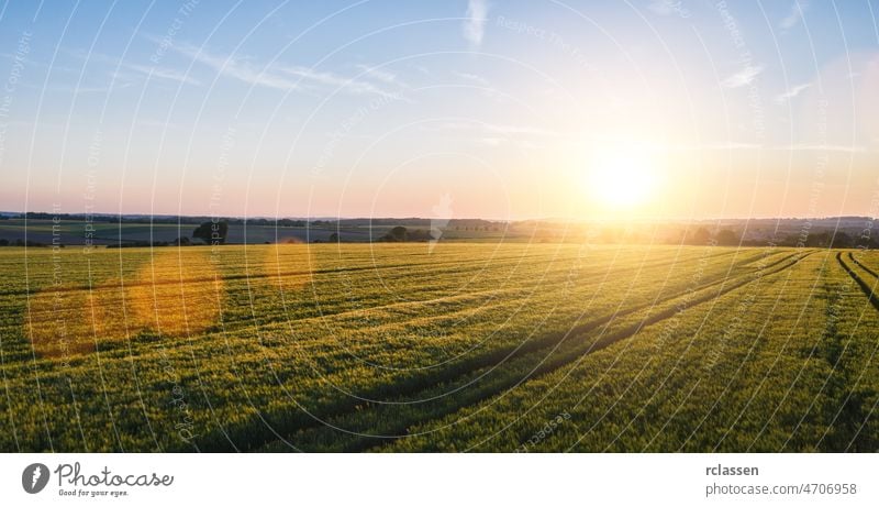 Weizenfeld bei Sonnenuntergang, einschließlich Kopierraum. Drohnenaufnahme Feld Bauernhof Ernte Panorama Textfreiraum Landschaft Ackerland Dröhnen Müsli Wolken