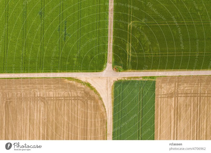 Abstrakte geometrische Formen von landwirtschaftlichen Parzellen von verschiedenen Kulturen in gelben und grünen Farben. Luftaufnahme schießen von Drohne direkt über Feld