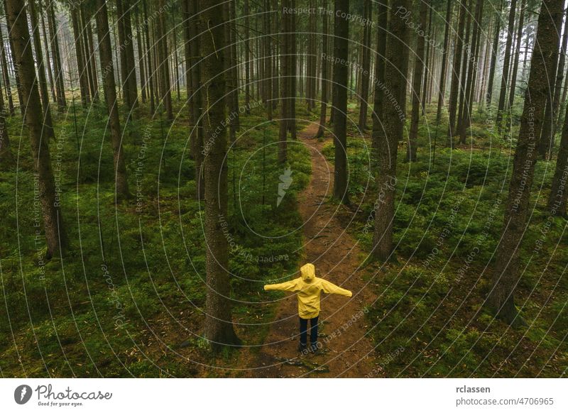Junger Mann im gelben Regenmantel, der auf einem Baumstamm im Wald steht und in die Baumkronen schaut - Ansicht aus einer Drohne Herbst böse Dröhnen märchenhaft