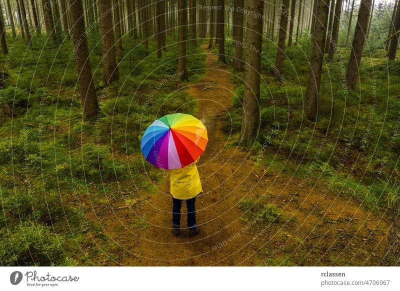 Luftaufnahme von Mann hält Regenbogen Regenschirm im Wald - Blick von einer Drohne Wiese ain Herbst Regenmantel Top Ansicht Farbe Gras Dröhnen mehrfarbig