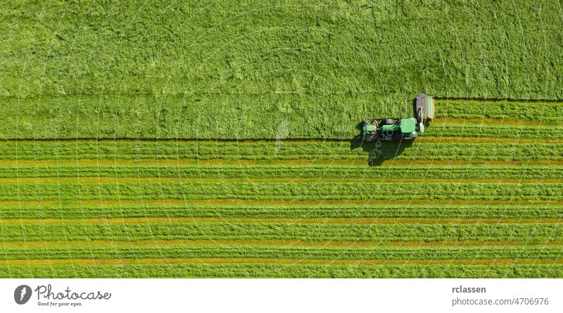 Heuernte im Herbst auf einer Wiese Luftaufnahme von oben, Drohnenaufnahme Ernte Gras Feld Ackerbau Antenne Dröhnen Samen Hintergrund Müsli Mähdrescher corp Land