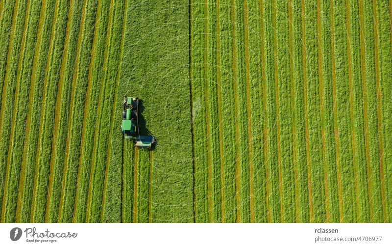 Ernte von Heu im Sommer. Der Mähdrescher einer landwirtschaftlichen Maschine sammelt reifes Gras auf dem Feld ein. Blick von oben. Ackerbau Antenne Dröhnen