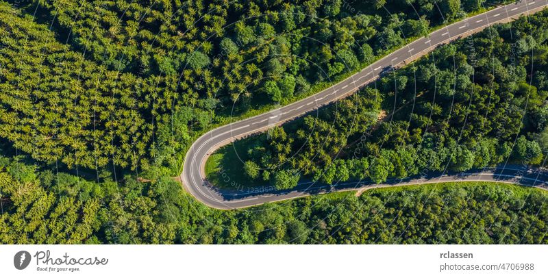 Luftaufnahme von Berg Kurve Straße mit Autos, grünen Wald im Frühjahr in Europa. Landschaft mit Asphaltstraße, und Bäume. Highway durch den Park. Draufsicht von fliegender Drohne.