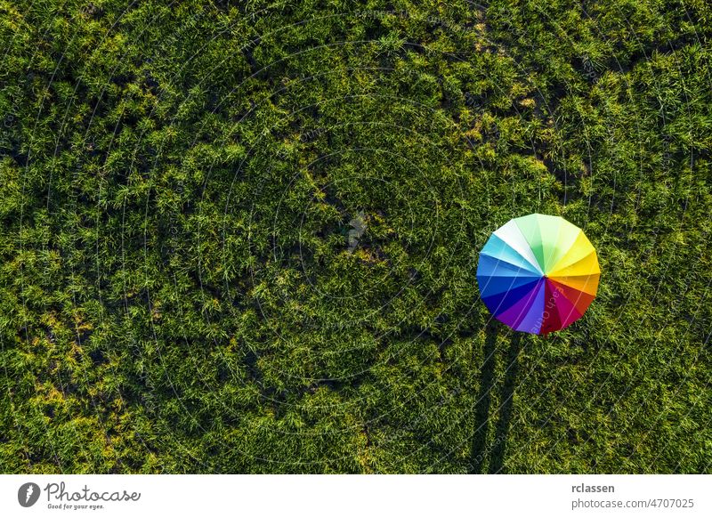 Bunt von Regenschirm auf einer grünen Sommerwiese - Blick aus einer Drohne Wiese Regenbogen Top Ansicht Farbe Gras Dröhnen mehrfarbig Auge Sonne abstrakt Natur