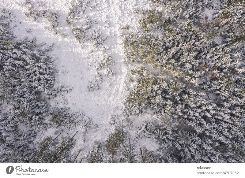 Draufsicht auf einen Winterwald mit Sonnenlicht. Drohnenaufnahme Wald Antenne Tag Dröhnen Landschaft Schnee Tapete oben Abenteuer Hintergrund schön blau kalt