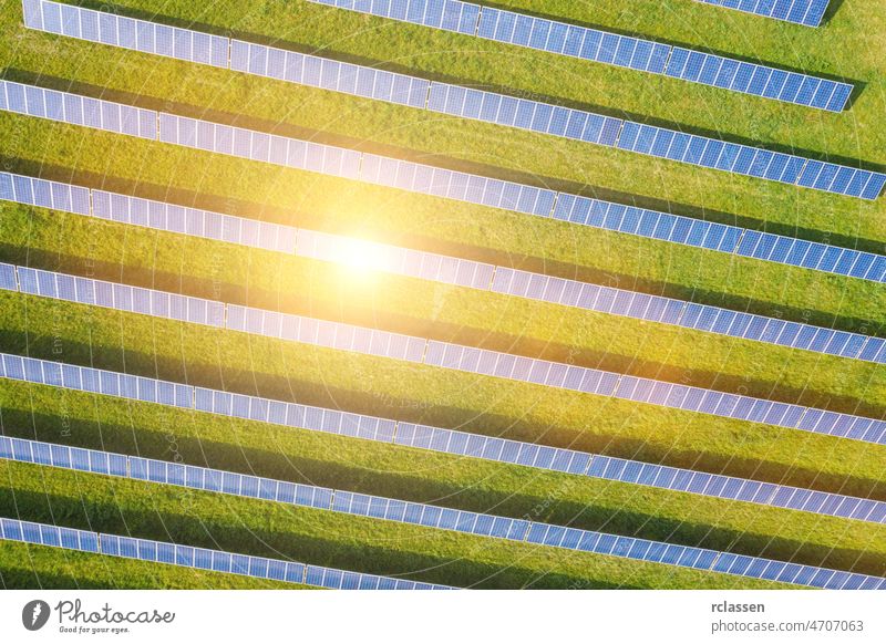Luftaufnahme von Solarmodulen an einem sonnigen Tag. Kraftwerk produziert saubere Energie solar Antenne Panel Bauernhof Feld Dröhnen nachhaltig umgebungsbedingt