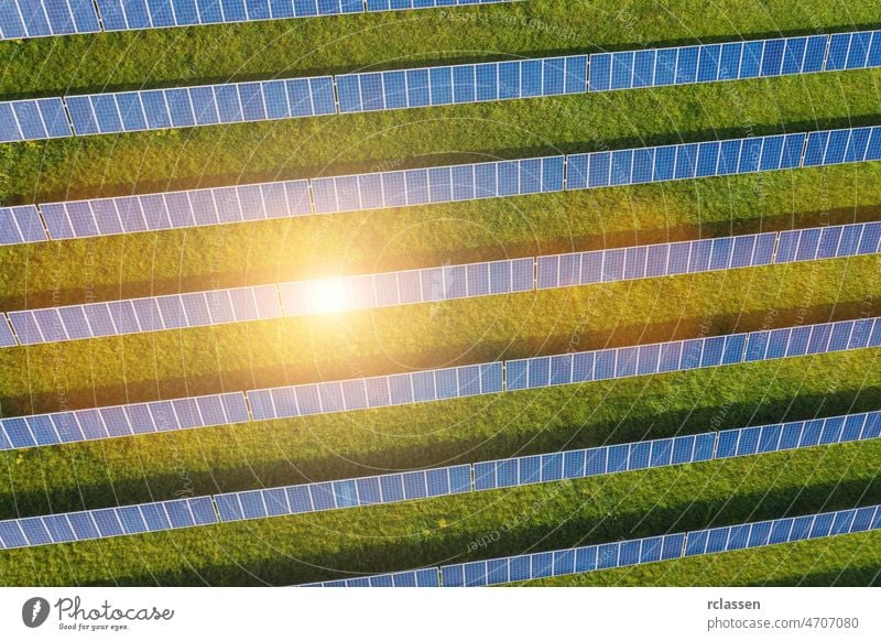 Solarzellenfeld solar Panel Bauernhof Feld Dröhnen Kraft nachhaltig umgebungsbedingt Energie Pflanze Sonne Wind Ökosystem Industrie Photovoltaik Natur Antenne