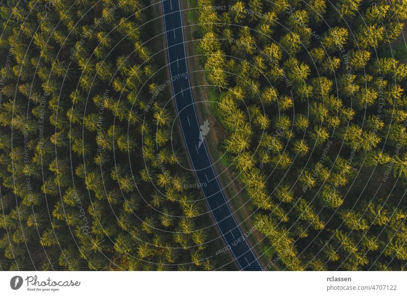 Luftaufnahme von oben über eine durch den Wald führende Bergstraße. Straße Antenne Dröhnen Ansicht Auge Kurve Landschaft Natur kurvenreich Abenteuer grün