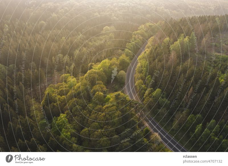 Luftaufnahme der Straße in die Berge mit Nebel, Draufsicht auf die Straße durch die Bäume, aufgenommen von einer Drohne Wald Antenne Landschaft Autobahn Weg