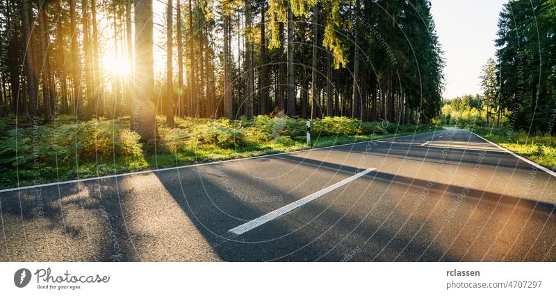 hughway in Forest im Sommer mit schönen hellen Sonnenstrahlen Straße Berge u. Gebirge Autobahn leer Sonnenaufgang Sonnenuntergang Ausflug malerisch Landschaft