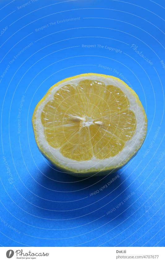 blau gelb Zitrone halbiert aufgeschnitten frisch Obst Hochformat Textfreiraum oben Frucht Lebensmittel Ernährung Gesundheit Gesunde Ernährung