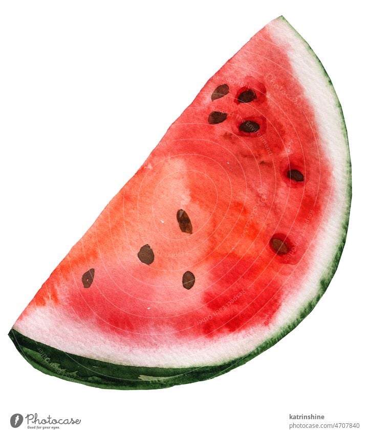 Scheibe der roten saftigen Wassermelone. Aquarell tropische Früchte Illustration botanisch geschnitten Dekoration & Verzierung Element exotisch fruitarian
