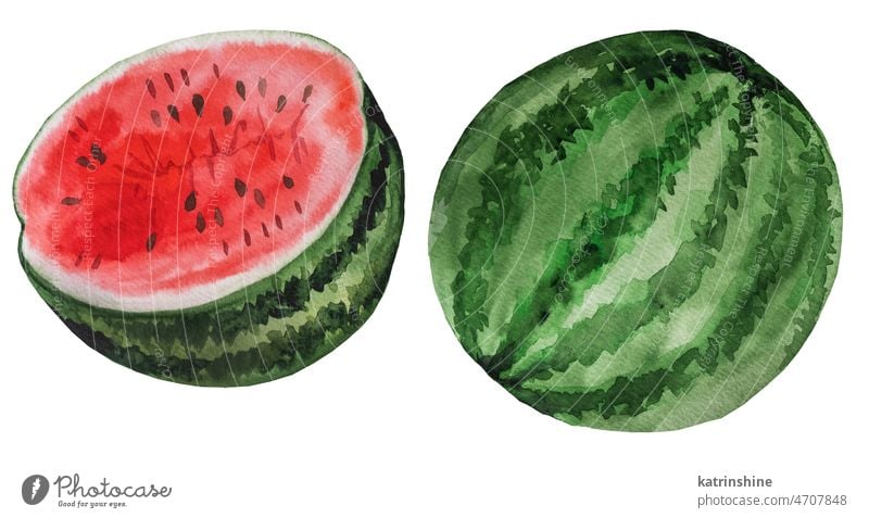 Scheibe der roten saftigen Wassermelone. Aquarell tropische Früchte Illustration botanisch geschnitten Dekoration & Verzierung Element exotisch fruitarian