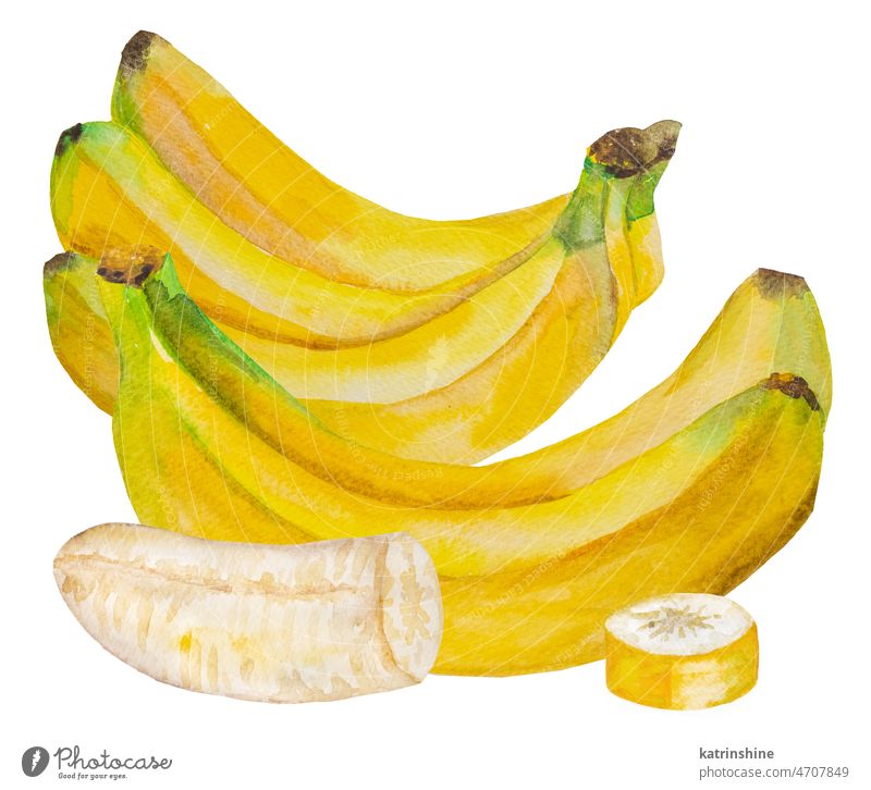 Aquarell gelbe reife Bananen. Ganze und Stücke von Bananen tropische Früchte Illustration botanisch geschnitten Dekoration & Verzierung Element exotisch
