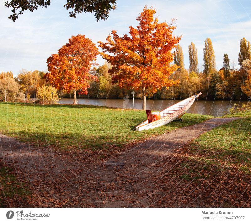 Drachenboot am Flussufer im Herbst Kanu Wasser Wasserfahrzeug Farbfoto Freizeit & Hobby Außenaufnahme Wassersport orange Natur Abenteuer Drachenboot-Festival