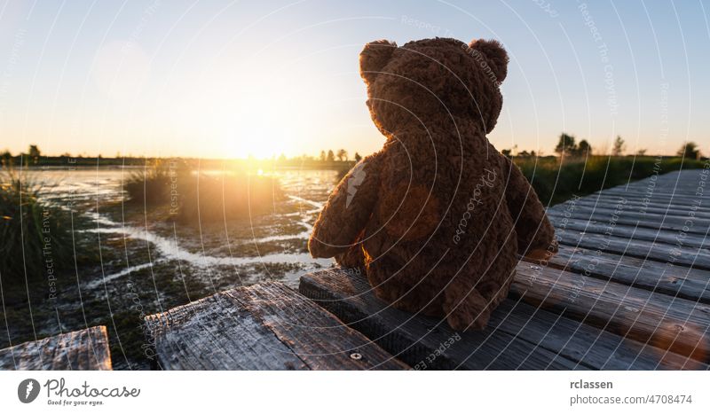 Teddybär sitzt auf einem Steg/Pier an einem See bei Sonnenuntergang, Rückansicht. Thema Liebe. Konzept über Liebe und Beziehung. Copyspace für Ihren individuellen Text.