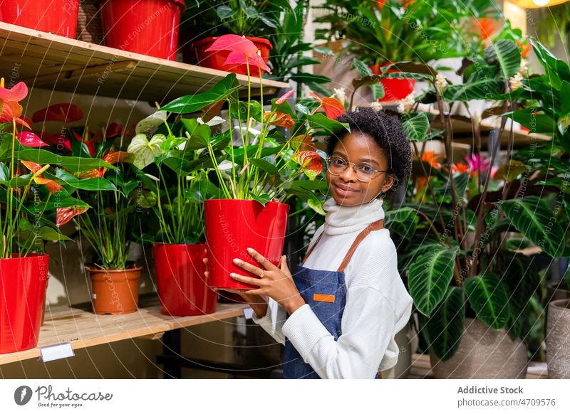 Lächelnde schwarze Frau mit Anthurium-Blüten Flamingoblumen Blumenladen Blumenhändler Glück Arbeit Pflanze Floristik Flora Freude Blumentopf Industrie